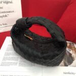 Jodie-Bottega-Bag-1.png