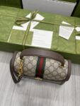 gucci-dddophidia-1-1.png