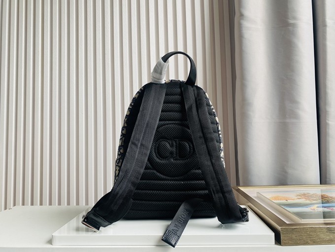 3bdb6d2e-1.jpg Dior Rider Small Backpack