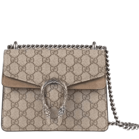 Gucci Dionysus Supreme Mini