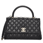 Chanel Coco Handle Platinum – LD Luxury Bags Chanel-Coco-Handle-Platinum-1.png