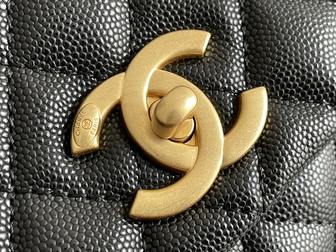 Chanel-Coco-Handle-Platinum1-1.jpg Chanel Coco Handle Platinum