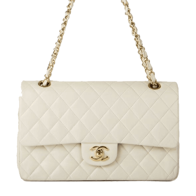 Chanel-timeless-Bag-Colored.png Chanel Timeless Bag Colored