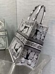 Dior-Book-Tote0.png