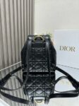 dior-caro-backpack.png