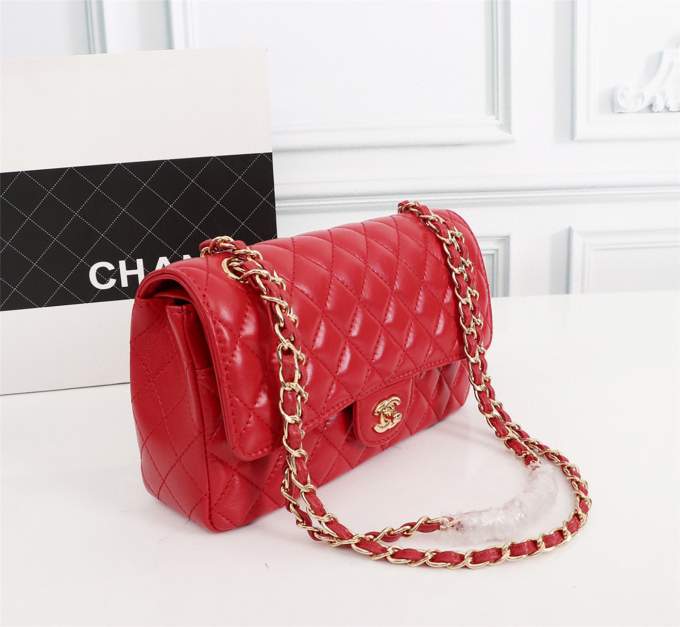 DkjAxd2yhIf3wEyTRtLqsXRlQ4v1E4IgAqqKgC1e_lg.jpeg Chanel Timeless Bag Colored