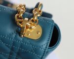 Dior-large-Caro-bag-.png