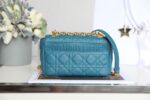 Dior-large-Caro-bag-.png