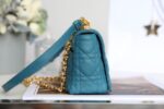 Dior-large-Caro-bag-.png