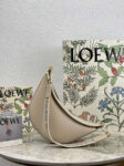 Small-LOEWE-Luna-bag-1.png
