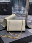 ysl-kate-crocoddile.png