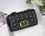 Dior-large-Caro-bag-.png