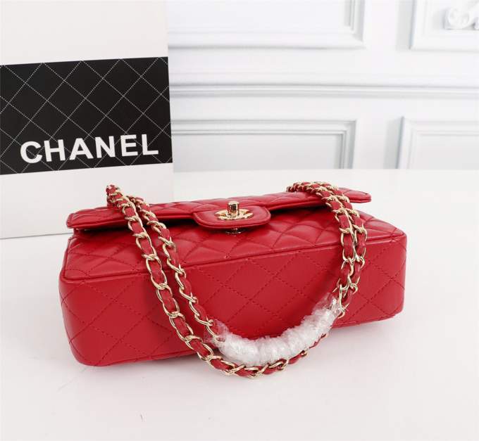 ZeTUlQ7V59z3xjGd3kfmXpijo1f0vxak6BnmgxJM_lg.jpeg Chanel Timeless Bag Colored