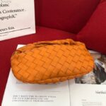 Jodie-Bottega-Bag-1.png