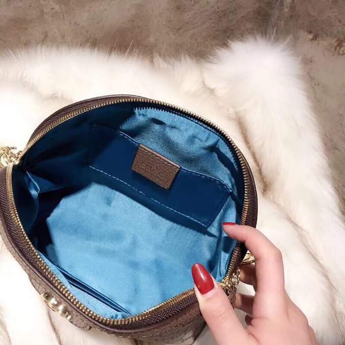 bxWguRWRce1vIyofDVyKgLzqDyR6zRsvVqpVyJpE_lg-2.jpeg Ophidia GG Small Shoulder Bag