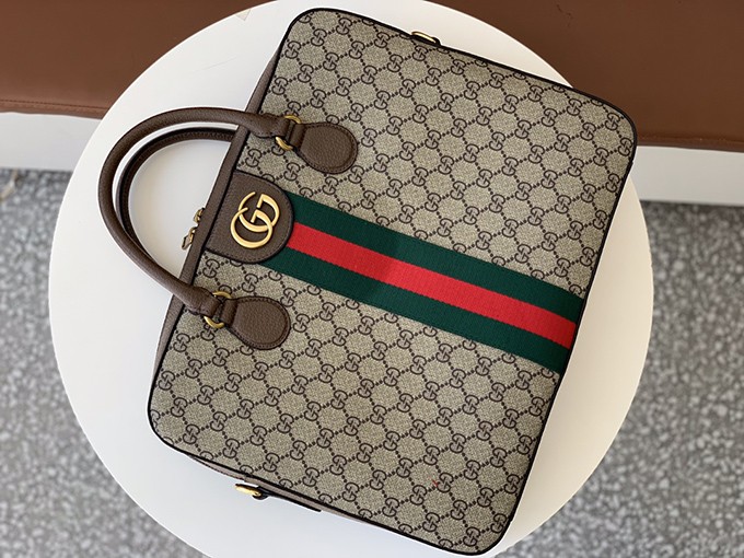 de8b6657-1.jpg Gucci Ophidia Document Holder