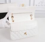 Chanel-timeless-Bag-Colored.png