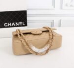 Chanel-timeless-Bag-Colored.png